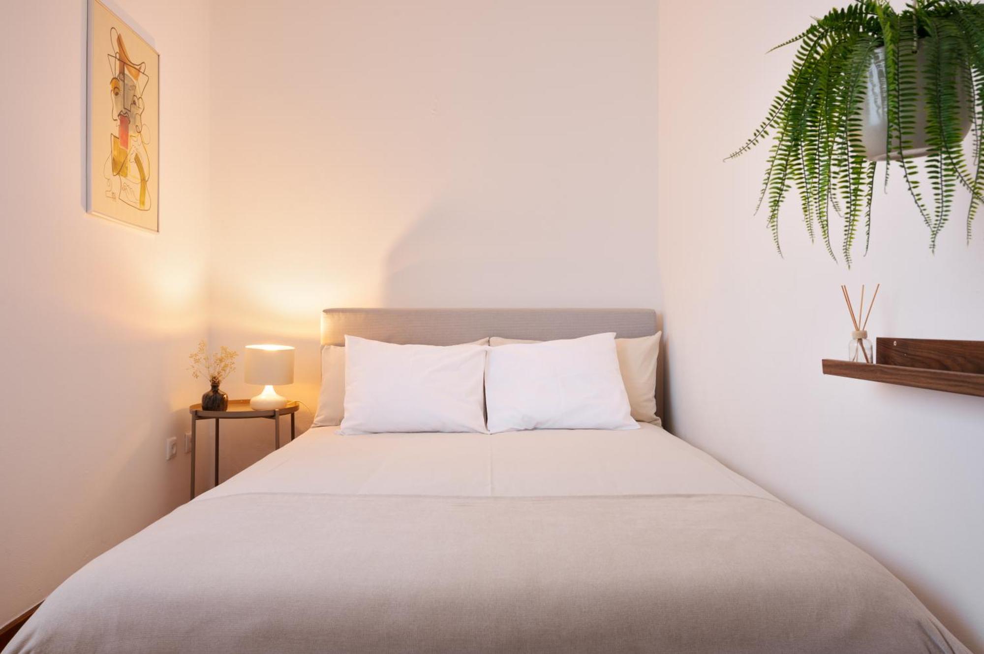 ! Bright 2Br Hammock Flat ! Praca Da Republica Apartment Porto Luaran gambar